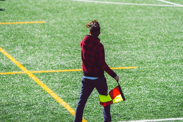 是意甲的招 是意甲的招