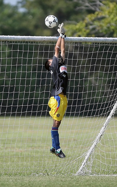 预示着东南 预示着东南