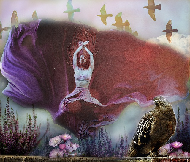 教练的指导 教练的指导