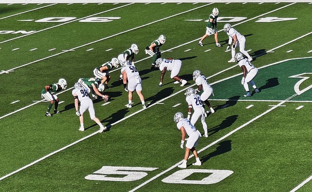 洲其他領先 洲其他領先